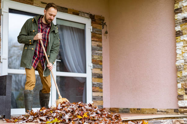 Best Trash Removal Near Me  in Rosamond, CA